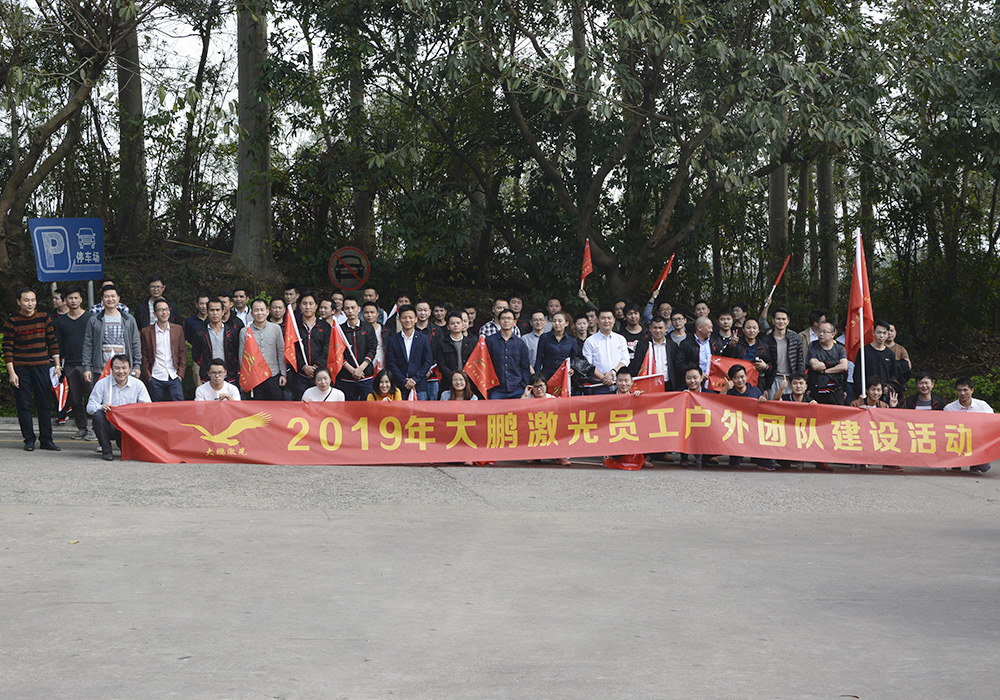 Sales experts matching laser cutting machine needs